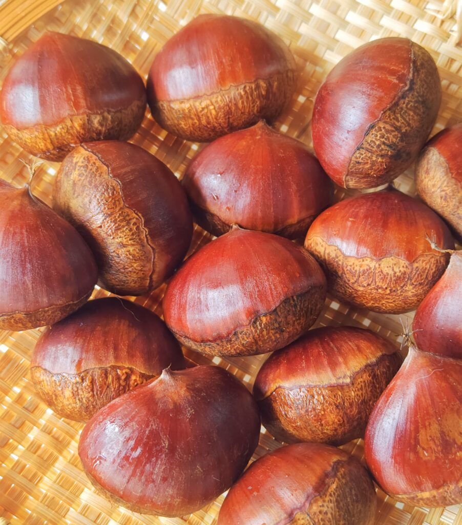 竹製のザルの上に、生栗をのせています。鬼皮をむく前で、表面がツヤツヤと輝いています。