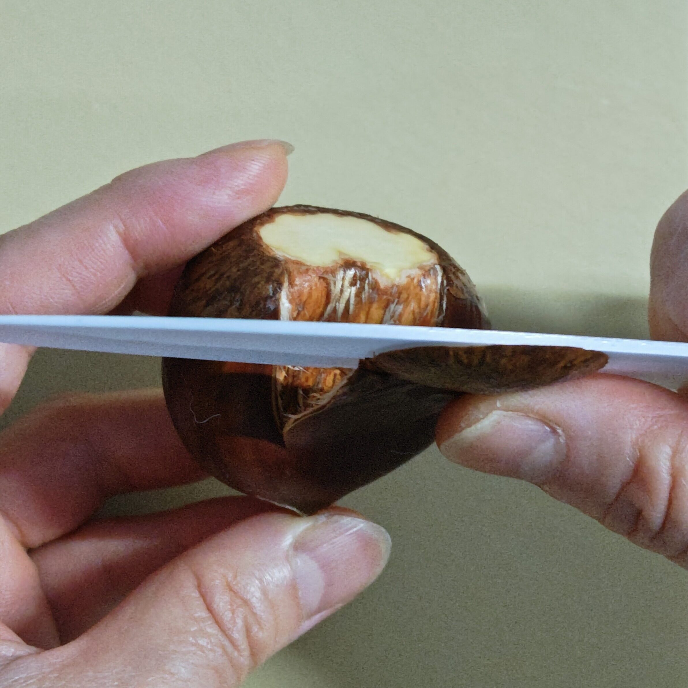 底を少しカットした生栗を一粒、底を上にした状態で左手で持ち、右手で小さめの包丁を持って、底から、鬼皮を慎重に剥がそうとしている瞬間の写真です。